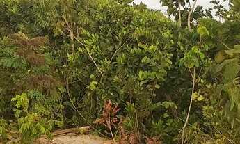 Imagem: Gleba Monjolo 10 Hectares