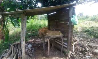 Imagem 5: Chácara em Flexeiras