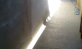 Imagem 3: Vendo Casa Casa com 2 dormitórios