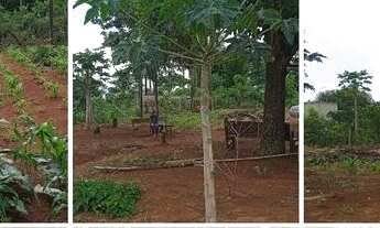 Imagem 2: Chácara Em Bonfinópolis