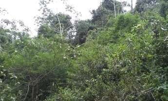 Imagem 4: Fazenda em Wenceslau Guimarães