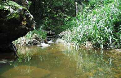 Imagem 2: Oportunidade Casa A 6Km Do Pacoti As Margens Da Ce,6 Hectares Valor R$500.000,00 Todo Docu