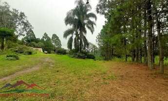 Imagem 5: AREA RURAL em NOVA PETRÓPOLIS - RS, Vila Germânia