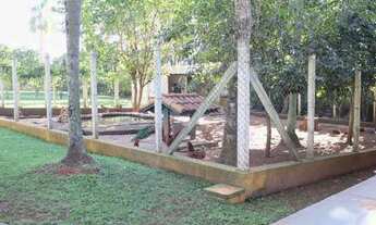 Imagem 7: Chácara graciosa com Mata Atlântica