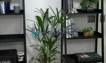 Imagem 5: Sala comercial 36m² - Complexo Empresarial Green Work - Jabaquara