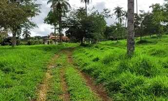 Imagem: LINDA FAZENDINHA DE 10 ALQUEIRES A 58KM