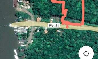 Imagem 2: Vende - se um terreno com açaizal Barcarena sede