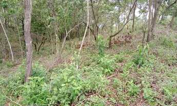 Imagem 4: Área para Venda em Cachoeiras de Macacu, Agro Brasil