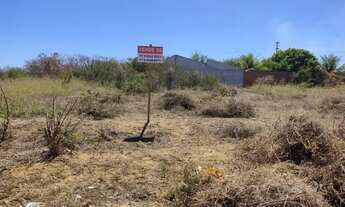 Imagem 2: Dois terrenos no Bairro Lagoa Grande