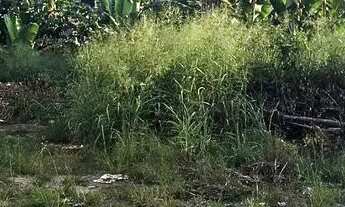 Imagem: Terreno de 377m² no Flamengo - Maricá