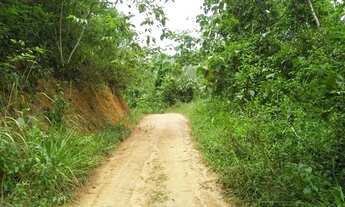 Imagem 3: Fazenda em Wenceslau Guimarães