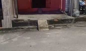 Imagem 4: Casa pra casal Casa com 1 dormitório