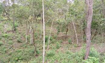 Imagem 2: Área para Venda em Cachoeiras de Macacu, Agro Brasil