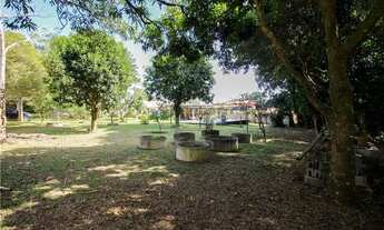 Imagem 5: Casa com 3 Quartos - Área com Piscina e Pomar Formado