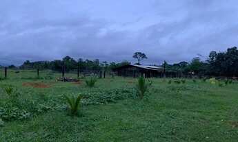 Imagem 3: Excelente Fazenda com 127 Hectares, 54 Km de Pvh, 9 km de estrada C