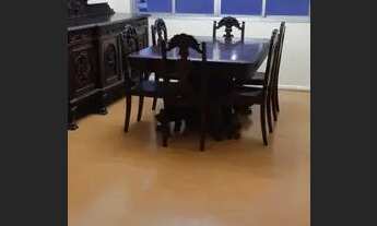 Imagem 2: Venda Apartamento 2 Dormitórios - 85 m² Vila Olímpia