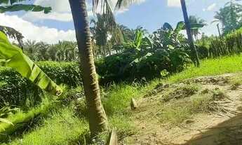 Imagem 6: Casa a venda Casa com 2 dormitórios