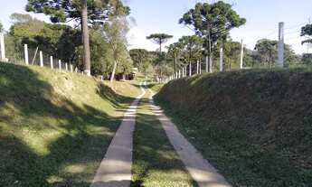 Imagem 4: Paraíso do sul Chácara com venda por R$1.550.000