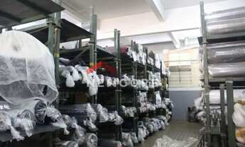 Imagem 5: Galpão em Rua Major Paladino - Vila Ribeiro de Barros - São Paulo/SP