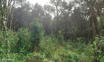 Imagem: TERRENO EM GRAMADO NO BAIRRO VIVENDAS DO