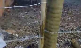 Imagem 4: Terreno em Chapada dos Guimarães