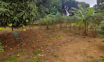 Imagem 7: Vendo terreno no Incra 9 gleba 4 Ceilândia Norte de 5 mil metros