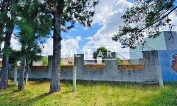 Imagem: TERRENO LARANJAL