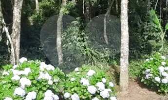 Imagem 4: Terreno à venda em Roseira - SP