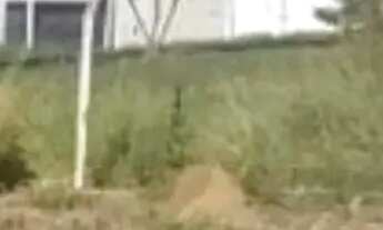 Imagem 4: Imóvel para venda possui 150 metros quadrados em Jardim Monte Carlo - Indaiatuba - SP