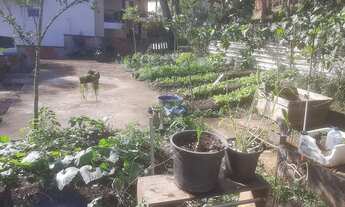 Imagem 7: Dois amplos lotes com 480 M² cada, já com fundação e projeto, na Granja dos Cavaleiros