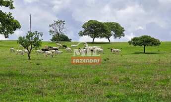 Imagem 3: Chácara 9 alqueires (43 hectares) Leopoldo de Bulhões - Go