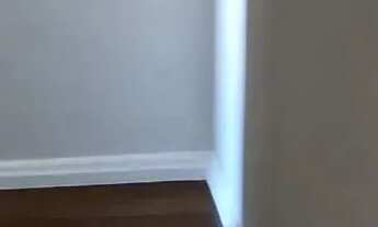 Imagem 4: APARTAMENTO NA RUA REGO LOPES