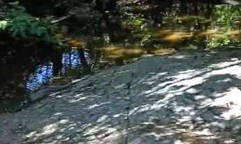 Imagem 3: Chácara Chácara com venda por R$150.000