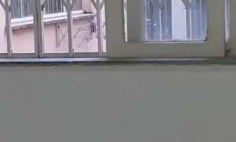 Imagem 4: Imóvel para aluguel tem 50 metros quadrados com 1 quarto em Centro - Rio de Janeiro - RJ