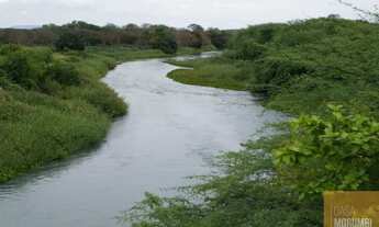 Imagem 4: Fazenda à Venda 16.000 Hectares em Ibó-abare , Bahia projetos de energia solar, refloresta