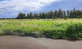 Imagem: Venda de Terreno / Padrão na cidade de