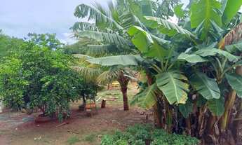 Imagem 3: VENDO OU TROCO CHÁCARA