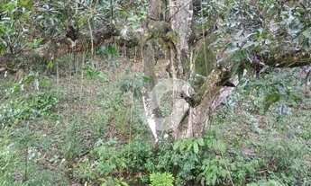 Imagem 2: Chácara/Sítio à venda, 28000 m² - Pendotiba - Niterói/RJ