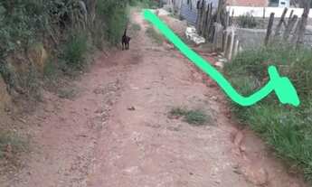 Imagem 7: Vende se terreno