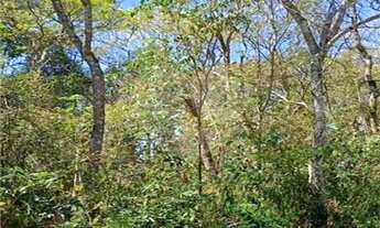 Imagem: Terreno à venda em Remédios - SP
