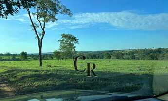 Imagem 2: Fazenda Extra em Trindade - GO