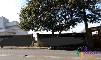 Imagem 3: TERRENO - VILA SÃO FRANCISCO - SP