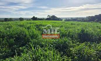 Imagem 5: Fazenda 76 alqueires (370 hectares) São Francisco - MG