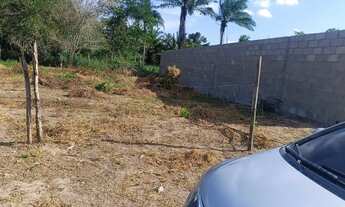 Imagem 3: Terreno 6 por 25 a 300 metros da noide