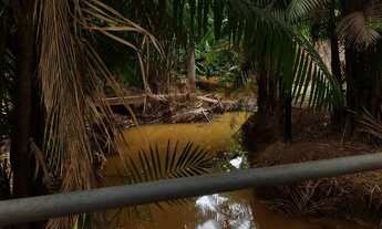 Imagem 7: Sítio à venda , 7710m2, Casa Sede 4 qtos. Vila Esperança São Luís MA