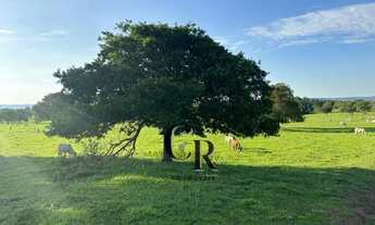 Imagem 4: Fazenda Extra em Trindade - GO