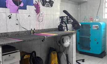 Imagem 5: PetShop Zona leste. Ref; 1021