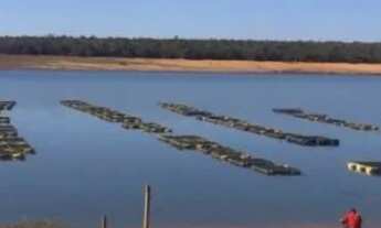 Imagem 5: Vende-se 02 lotes juntos no condomínio Lago dos Cisne , na cidade de FELIXLÂNDIA