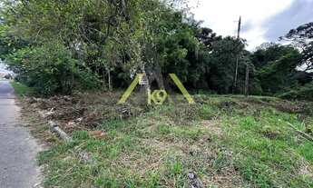 Imagem 4: LOTES NO PALMITAL COM 1250 M² EM COLOMBO