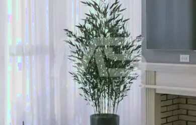 Imagem 3: Casa à venda 3 dormitórios, sendo 1 suíte, 2 vagas, lareira e piscina em Estãncia Velha! R